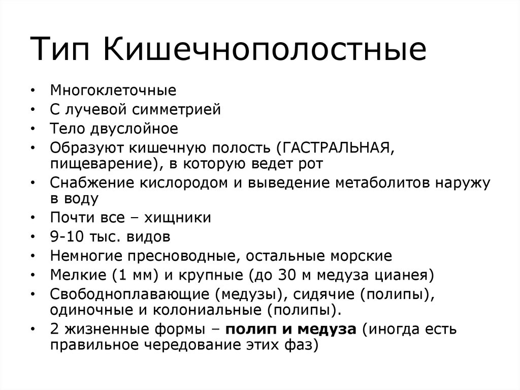 Особенности группы кишечнополостные. Систематика и классификация Кишечнополостные. Общая характеристика кишечнополостных. Тип Кишечнополостные классификация. Тип Кишечнополостные общая характеристика.