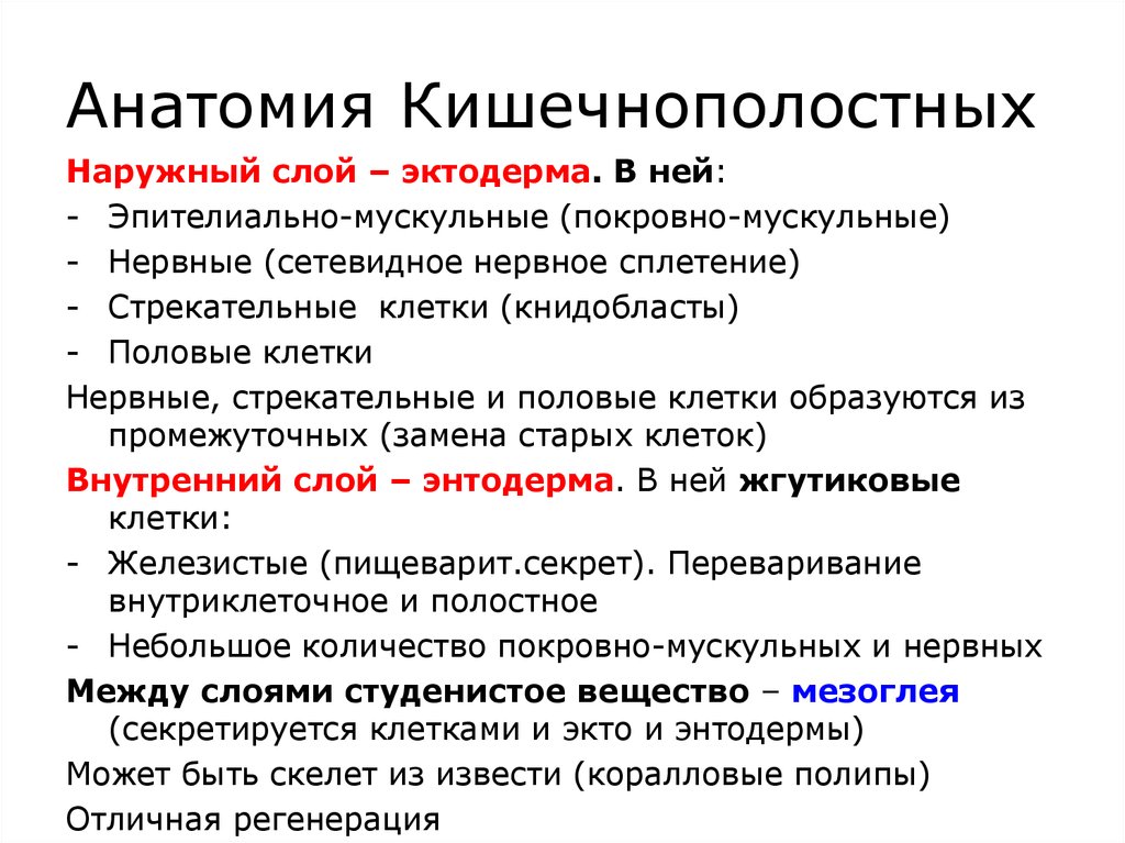 Сравнение кишечнополостных