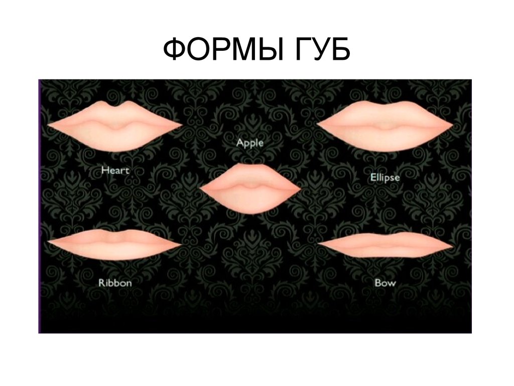 Персик форма половых губ у девушек. Формы губ. Форма губ для увеличения. Разные формы губ. Формы губ названия.