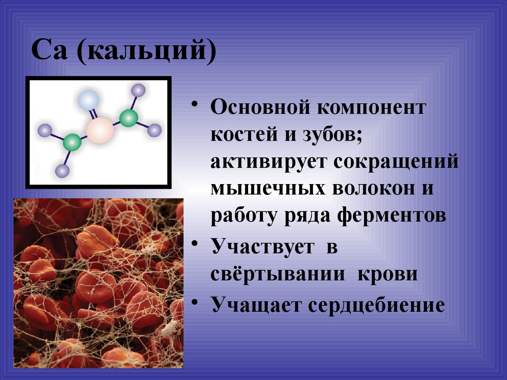 Входящий в состав клеточных. Основной компонент костей. Кальций в свертывании крови. Кальций участвует в свертывании крови. Участие кальция в свертывании крови.