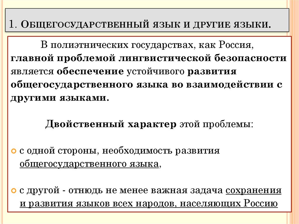 Лингвистическая безопасность. Русский язык и общегосударственная языковая политика. Языковая безопасность. Полиэтническое государство.