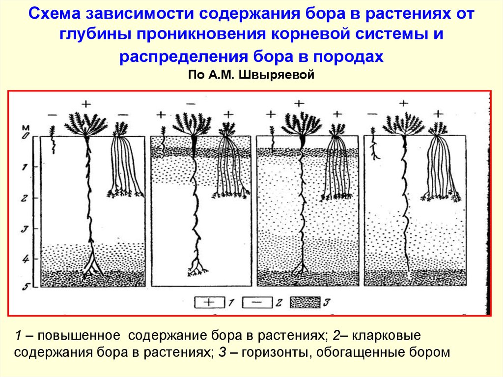 На какую глубину проникает