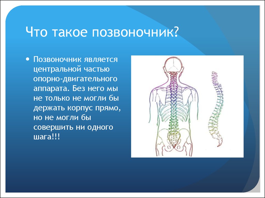 Проект здоровый позвоночник