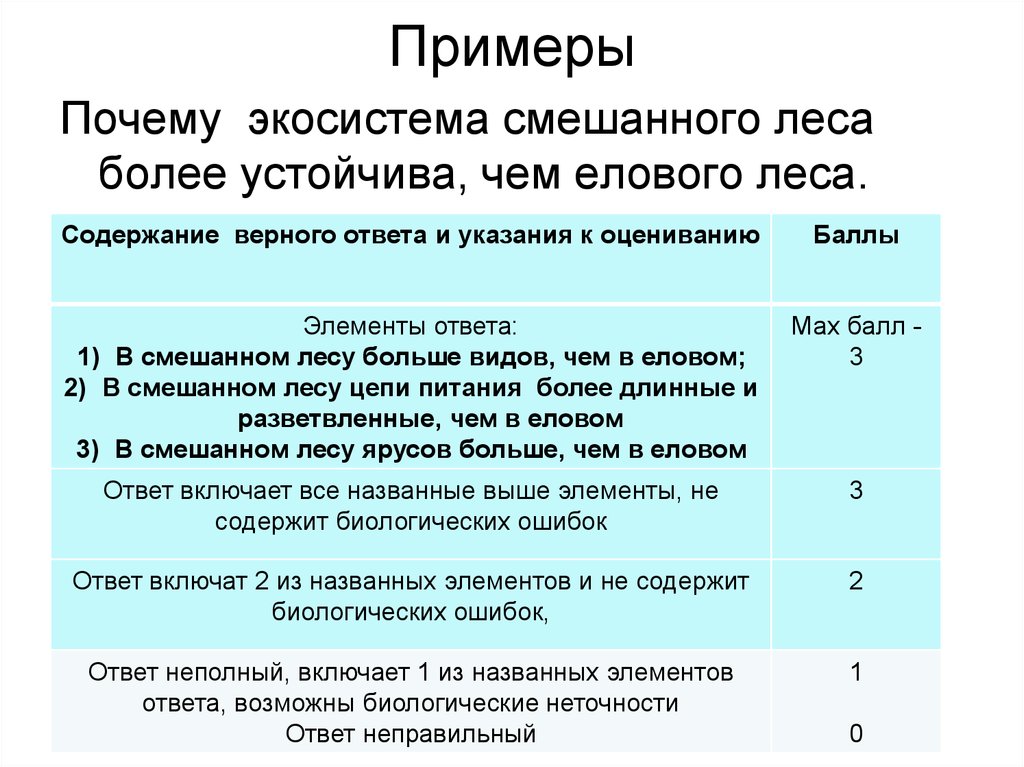 Почему леса устойчивые экосистемы