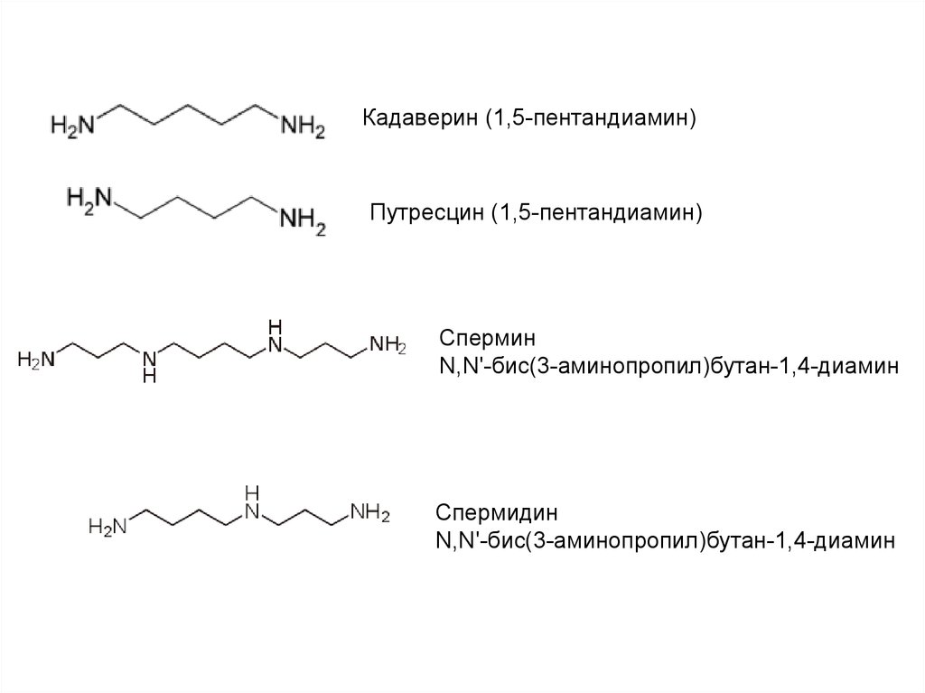 Кадаверин это. 1 5 Диаминопентан структурная формула. Кадаверин структурная формула. 2 Метил 1 5 пентандиамин. N N бис 3 аминопропил додециламин формула.