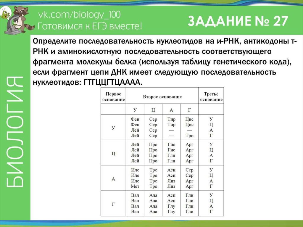 Биология разбор варианта егэ. Разбор варианта ЕГЭ по биологии.