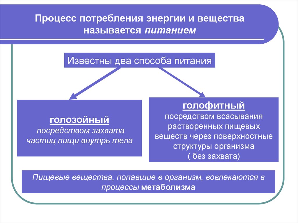 Процесс энергии. Процесс потребления вещества и энергии. Процесс потребления энергии и вещества называется питанием.. Потребление это процесс. Голозойный способ питания.