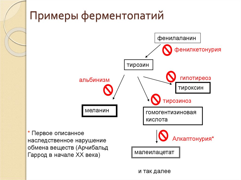 Фенилкетонурия биохимия