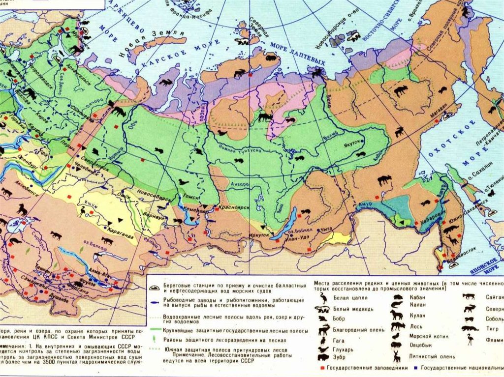 Природные зоны и биологические ресурсы россии