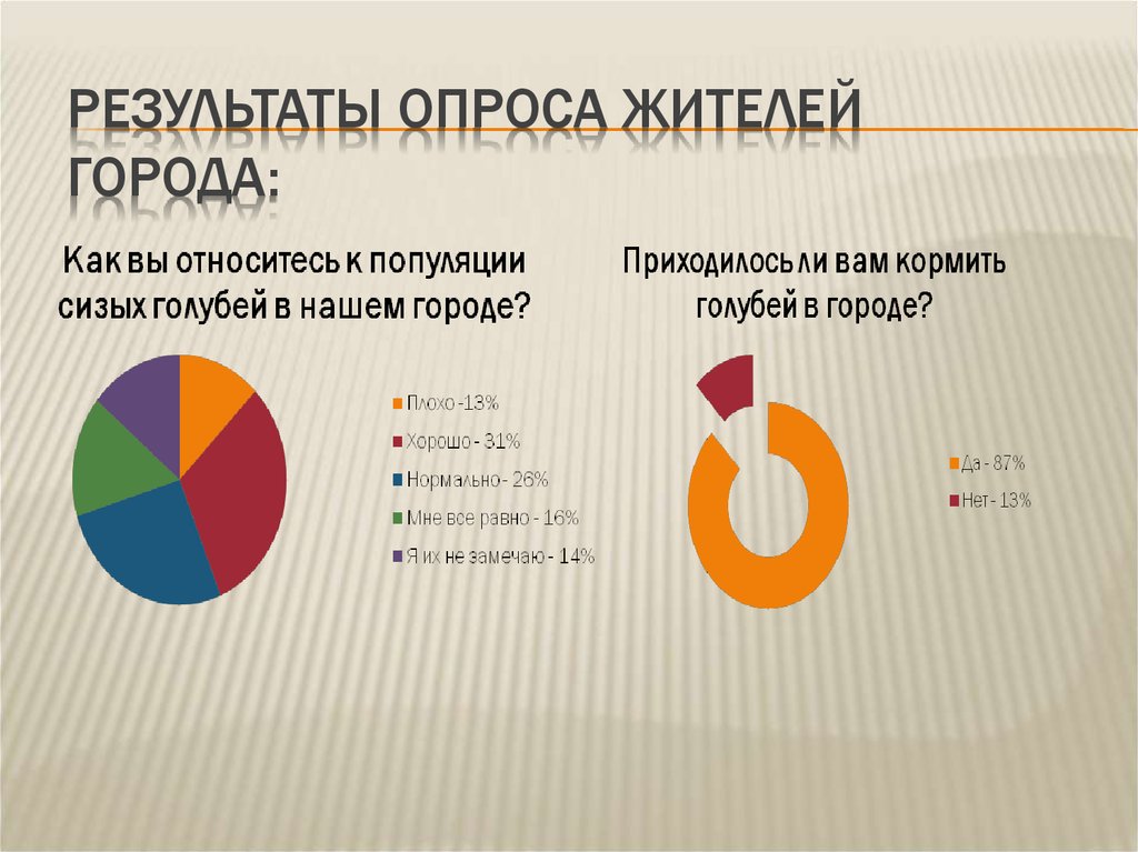 Вопросы для опроса жителей города. Анкетирование жителей. Опрос жителей города. Результаты опросов жителей Новосибирска.