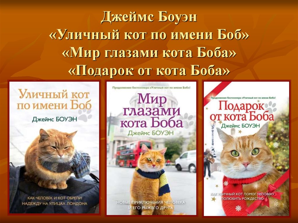 Книга про кота читать. Уличный кот по имени Боб книга. Боуэн мир глазами кота Боба.