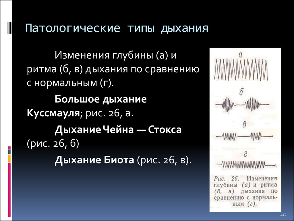 Виды дыхания