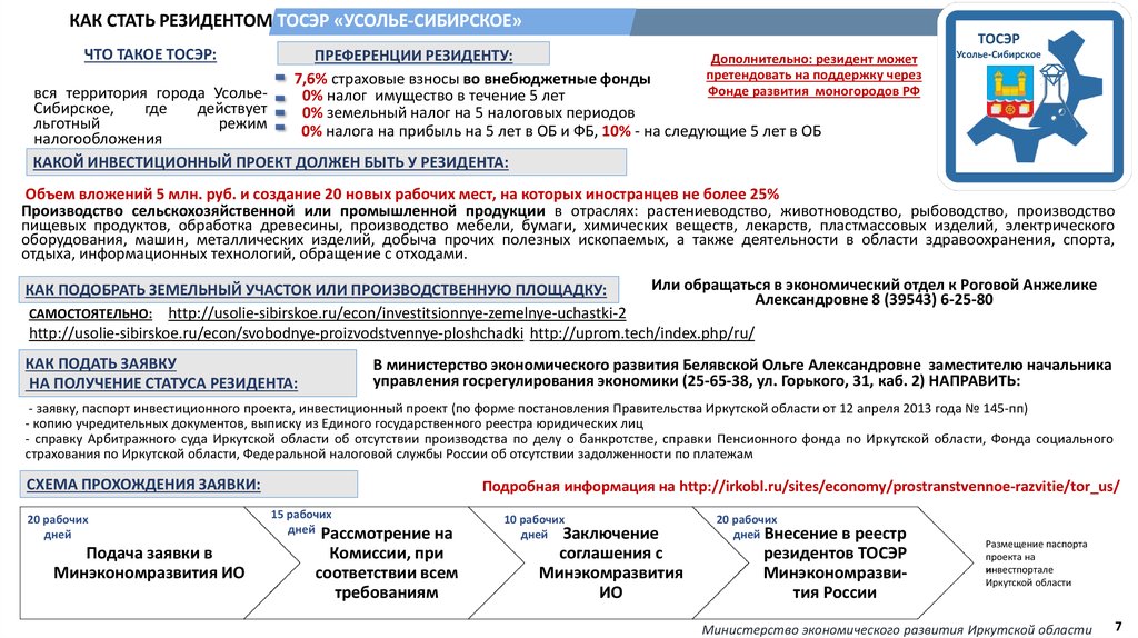 Паспорт инвестиционного проекта минэкономразвития