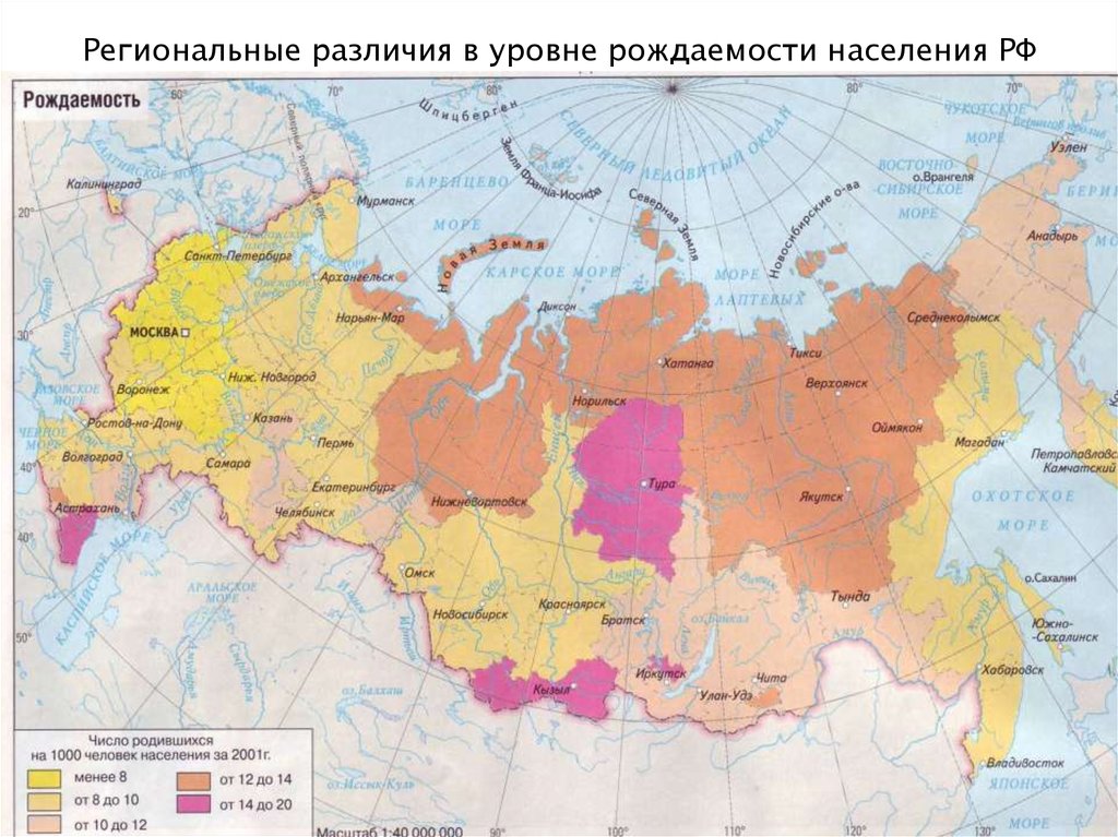 Россия воспроизводство населения контурная карта