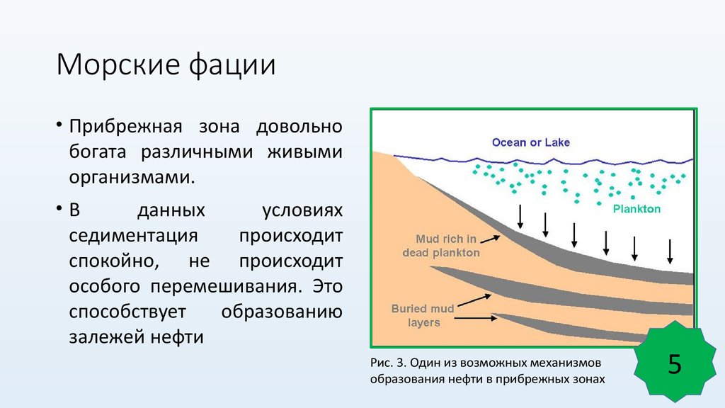 Урочища фации