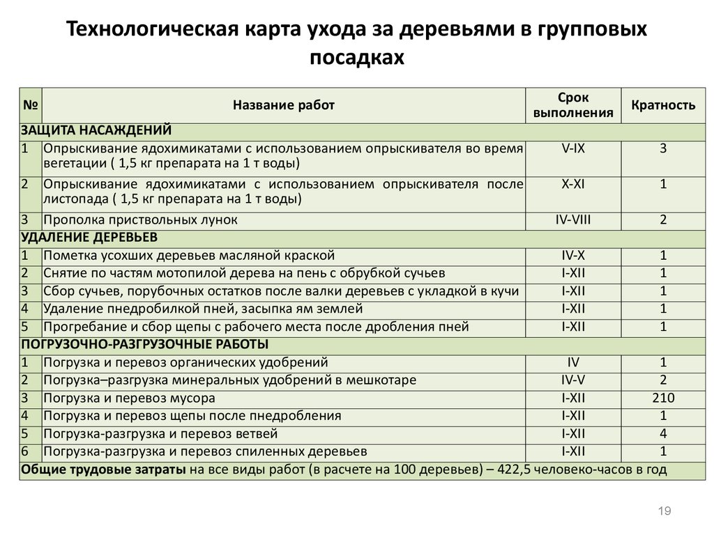 Технологическая карта выращивания хризантемы