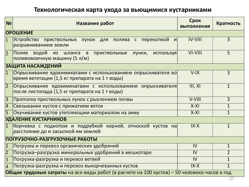 Технологическая карта ухода за газоном