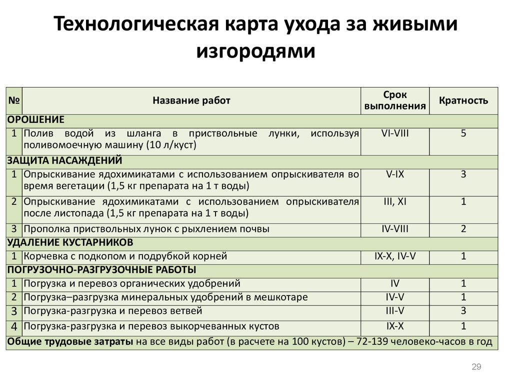 Рабочий зеленого хозяйства учебный план