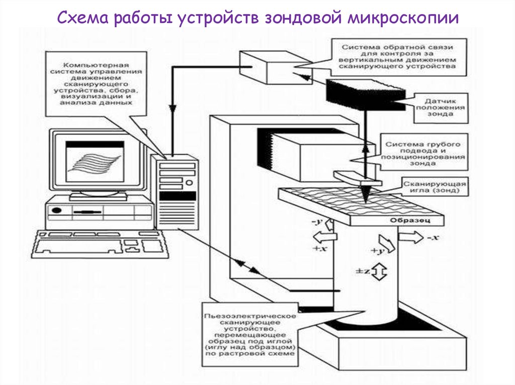 Схема сканирующего микроскопа. Сканирующий зондовый микроскоп схема. Устройство сканирующего зондового микроскопа. Сканирующий микроскоп принцип работы.