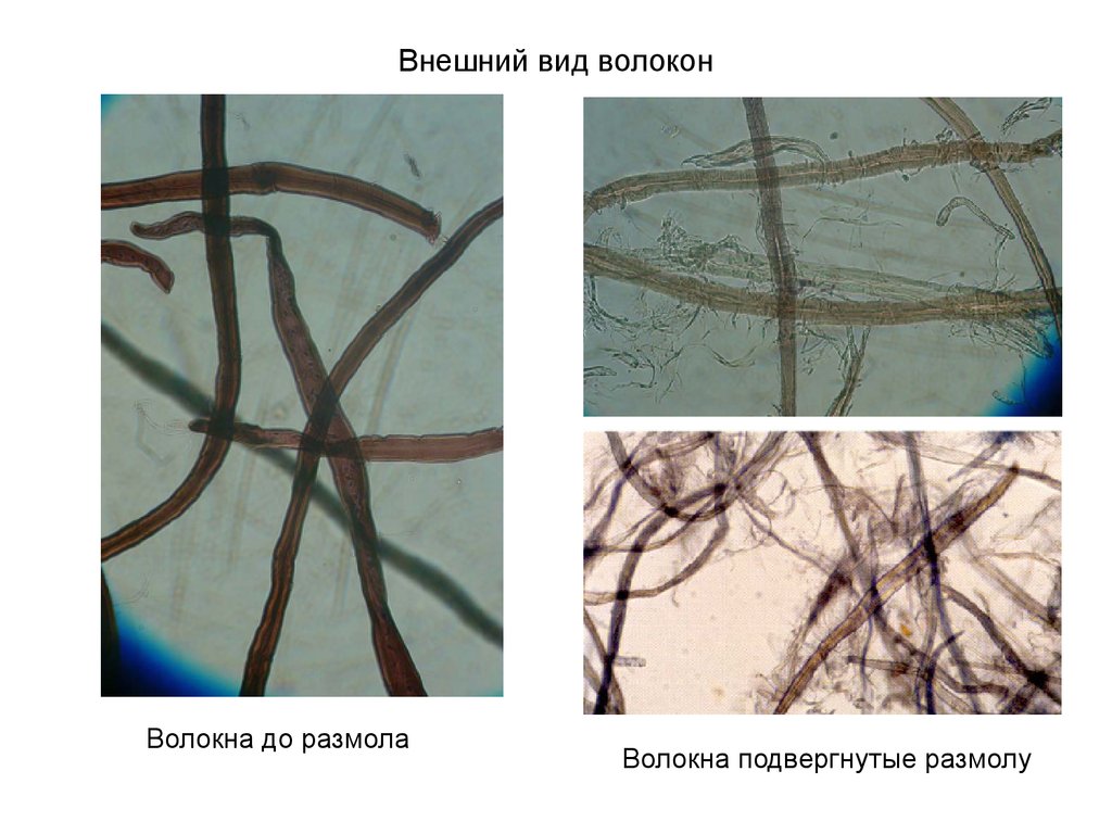 Внешний вид волокон