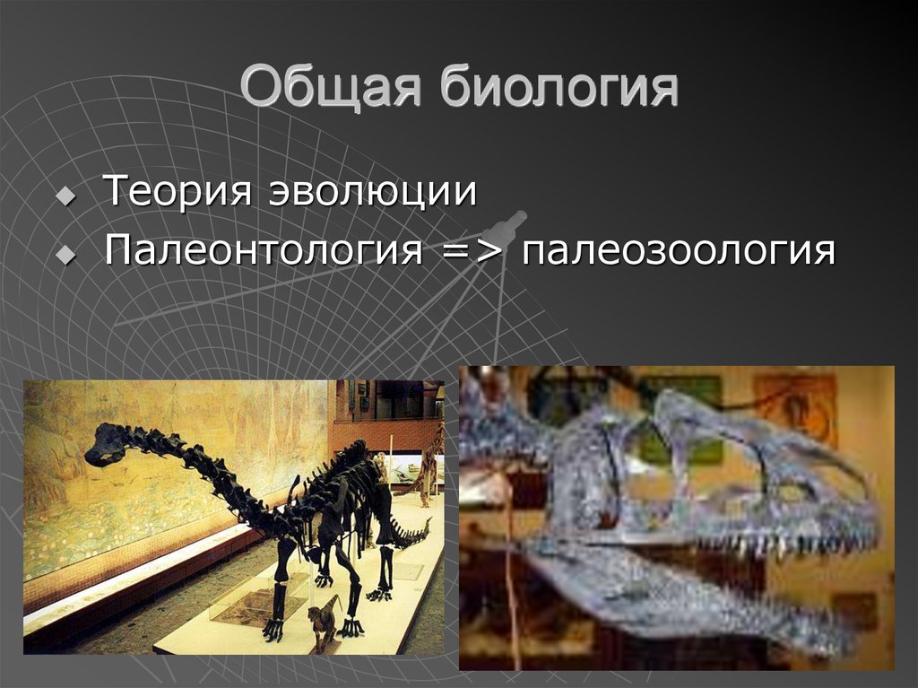 Общая биология