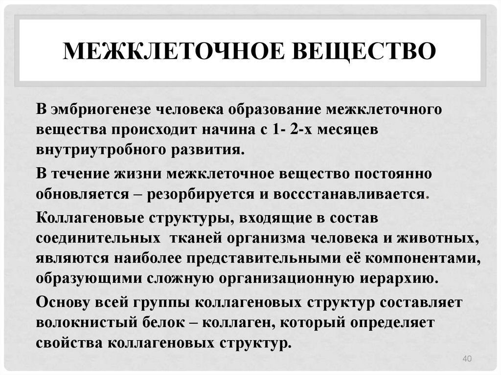 Межклеточное вещество. Меж клеточнле вещество. Межклеточной вещестао. Межклеточное вещество презентация. Образование межклеточного вещества.