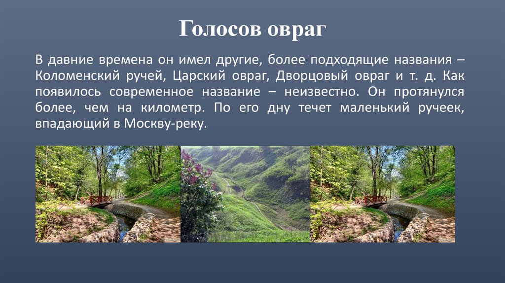 Когда здесь был овраг. Парк Коломенское овраг. Коломенский парк голосов овраг. Парк Коломенское Велесов овраг. Коломенский ручей.