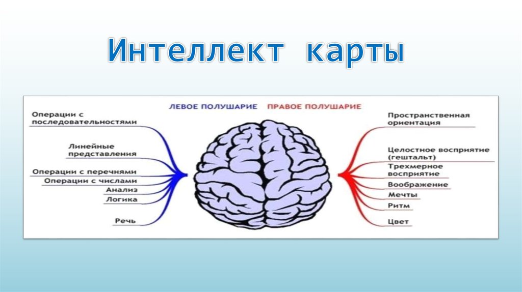 Карта правое полушарие