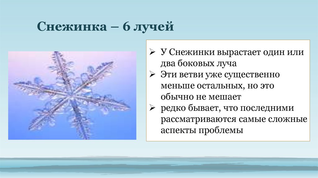 Сколько лучей у снежинки. Лучи снежинки. Сколько лучиков у снежинки. Снежинка растет.