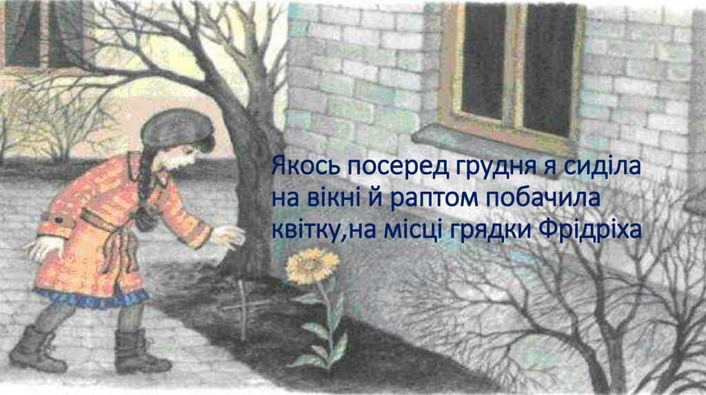 Якось посеред грудня я сиділа на вікні й раптом побачила квітку,на місці грядки Фрідріха