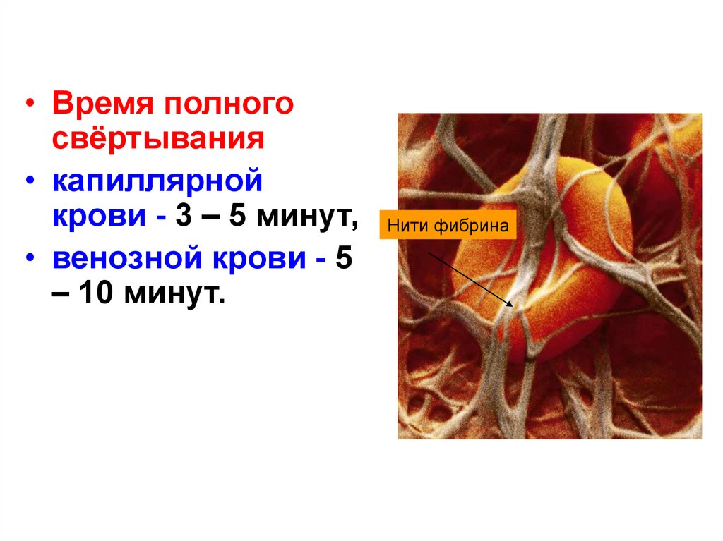 Золотая кровь 5. Свертываемость группа крови. Золотая кровь группа крови. Капилляр для свертываемости крови.