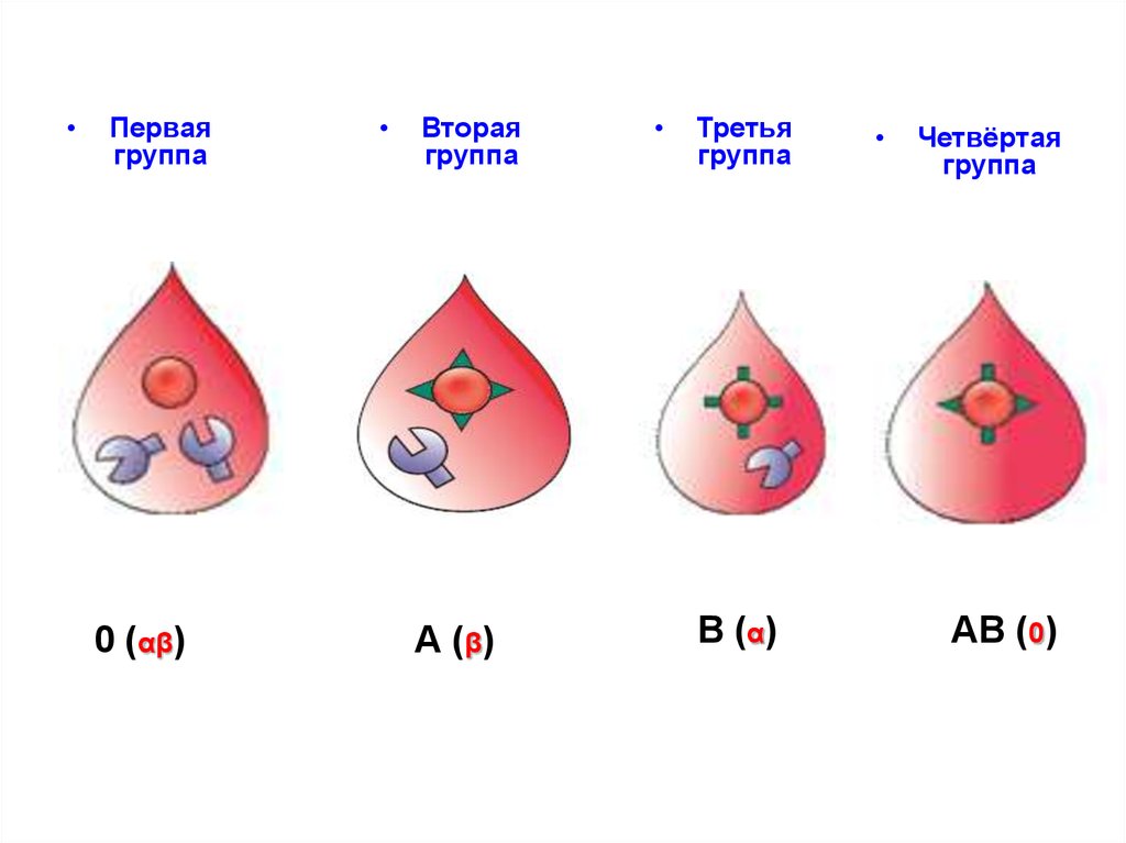 Особенности резусов крови. Группа крови и резус-фактор. Вторая отрицательная группа. Группы крови и резус-фактор таблица. Табличка группы крови и резус фактора.