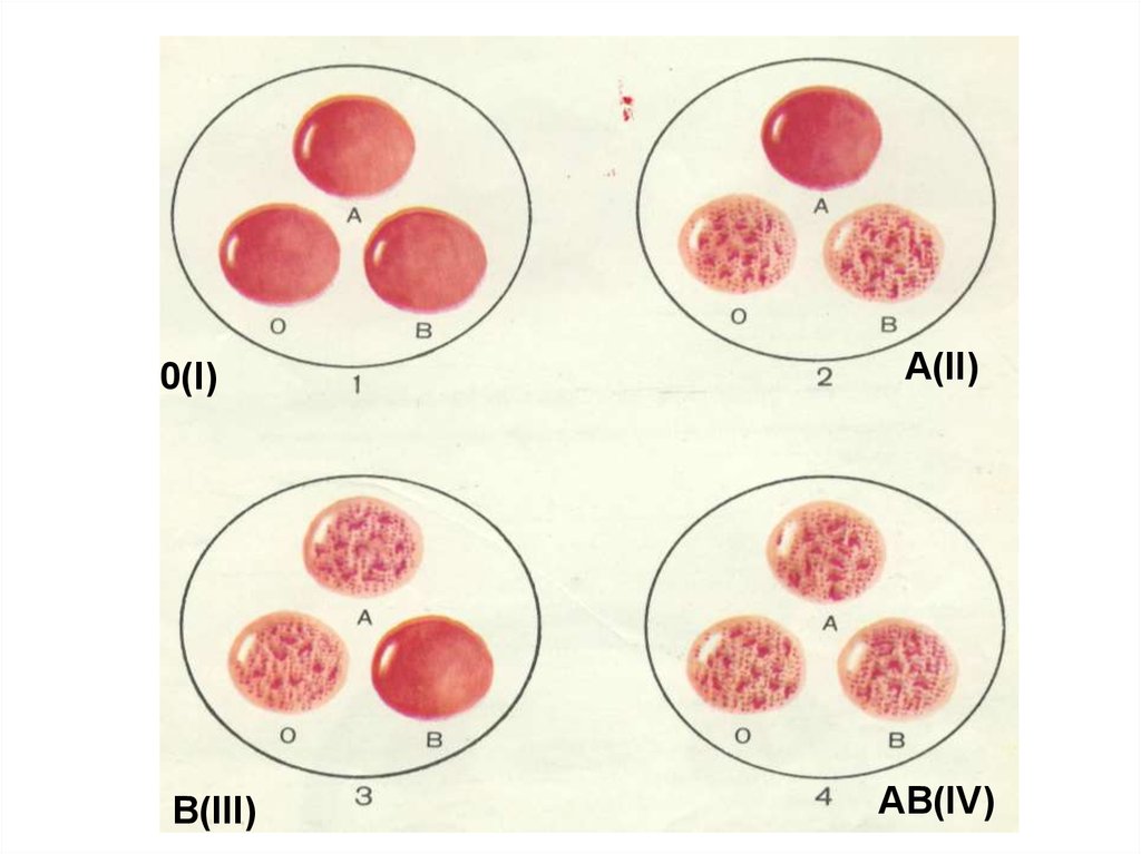 Резус rh d. Резус-фактор крови под микроскопом. Резус фактор на эритроците. Антигены системы резус. Группы крови изображение.