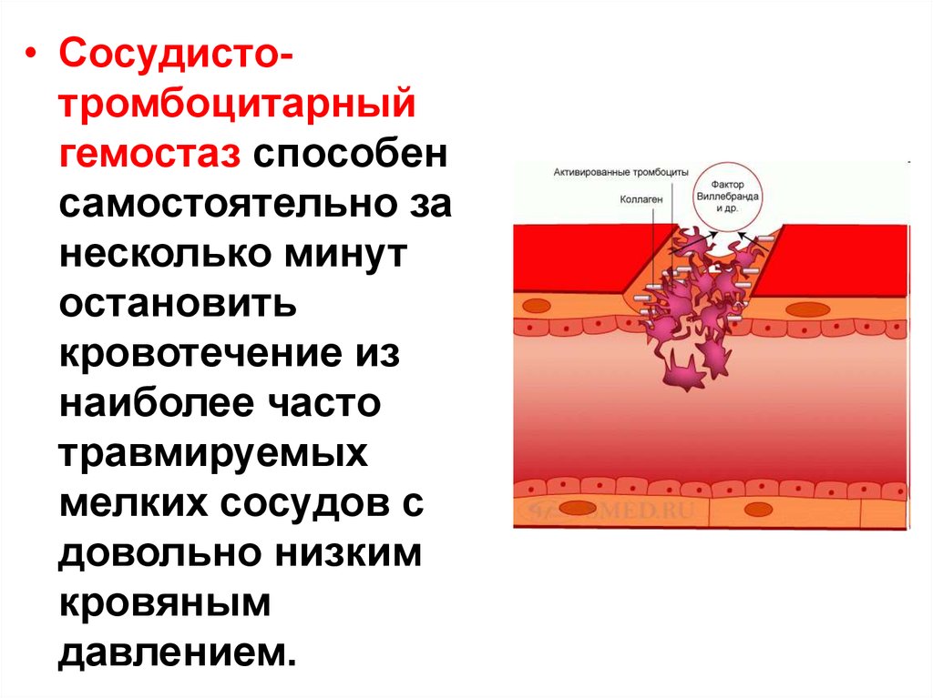 Гемостаз это. Изучение этапов сосудисто-тромбоцитарного гемостаза. Сосудисто тромбоцитарный механизм свертывания. Сосудисто тромбоцитарный гемостаз норма. Стимуляторы сосудисто-тромбоцитарного гемостаза.