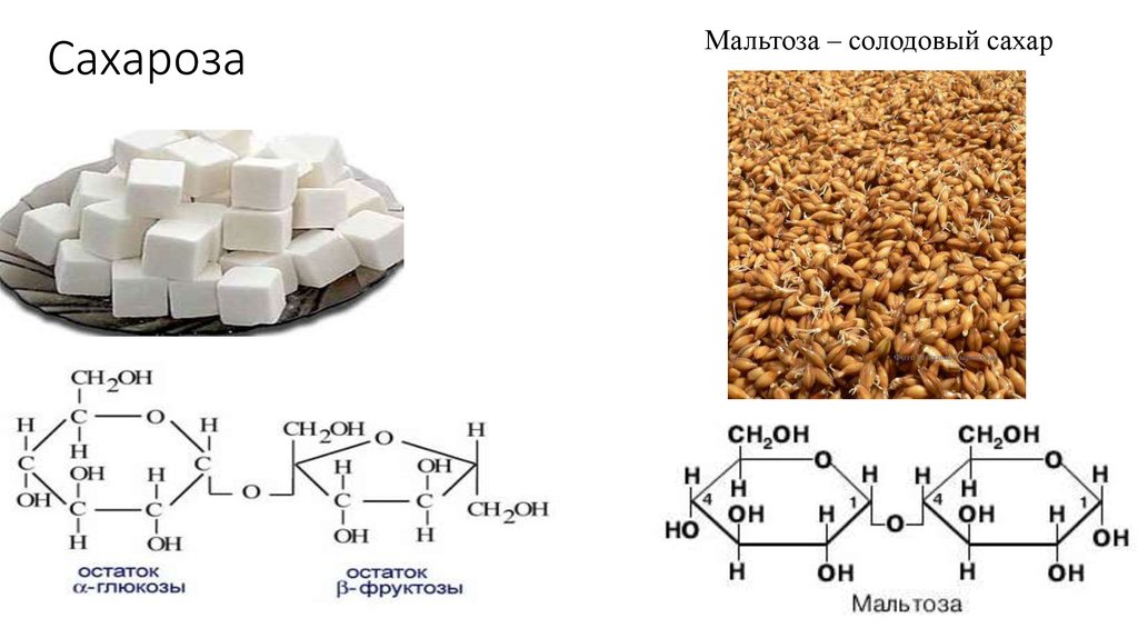 Сахароза геншин фото. Строение сахарозы формула. Эмпирическая формула мальтозы. Сахароза Геншин. Химическая формула сахара.