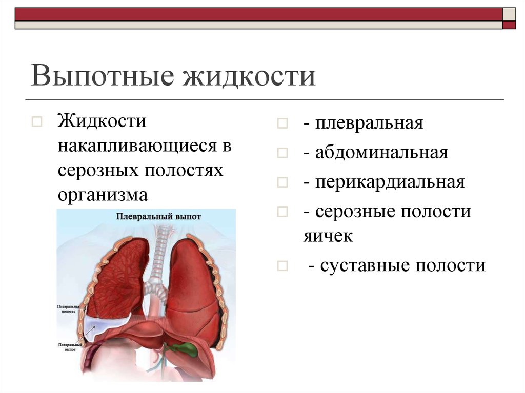 Выпотные жидкости презентация