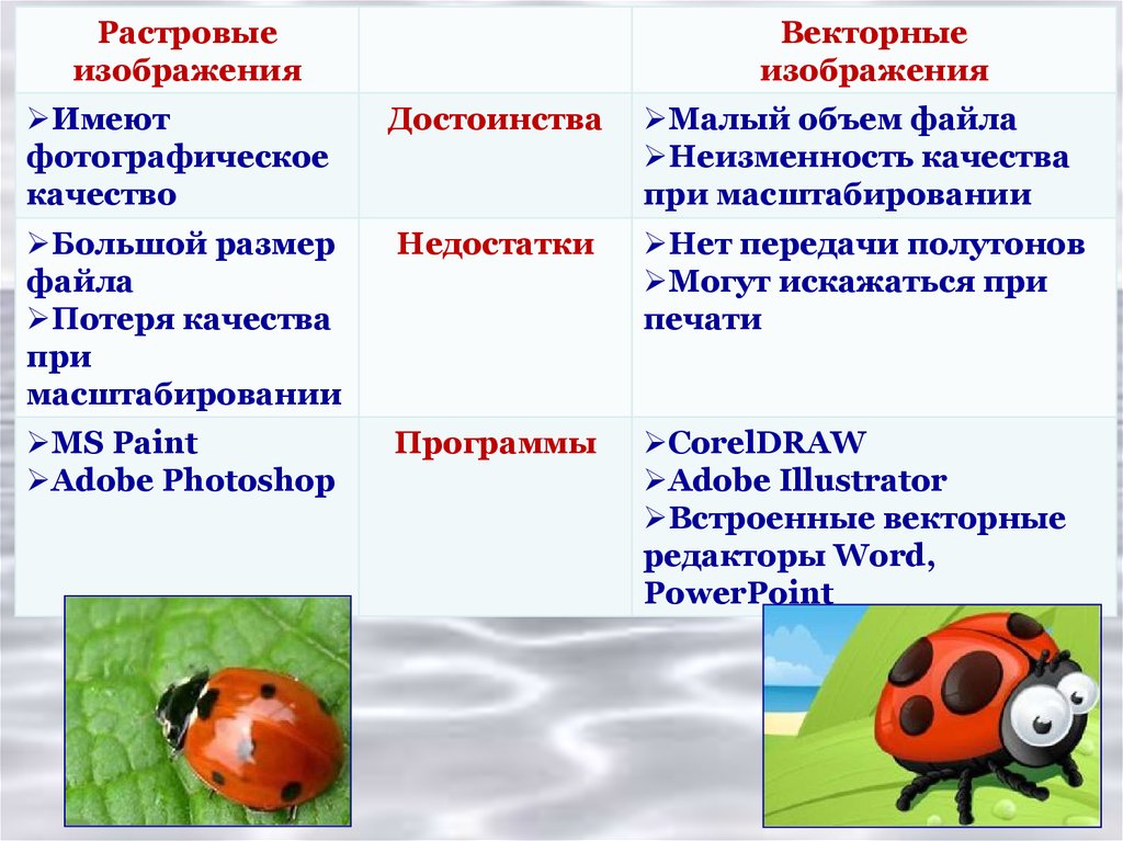 Какой вид графики искажает изображение при масштабировании векторная