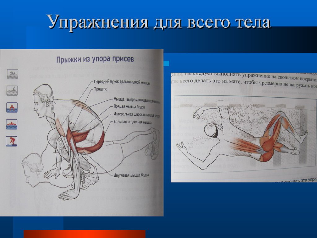 Сухое плавание упражнения. Силовые упражнения для пловцов. Занятия на суше для пловцов. Упражнения для плавания на суше. Силовые упражнения для пловцов сухое плавание.