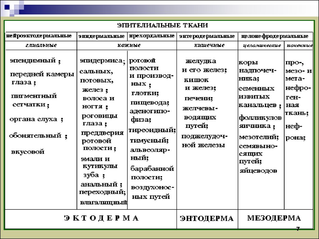 Категории ткани. Учение о тканях классификация тканей. Категория ткани по циклам. Таблица по категории тканей. Категория хлопка таблица.