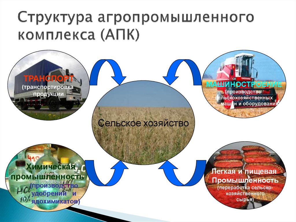 Состав сельской промышленности