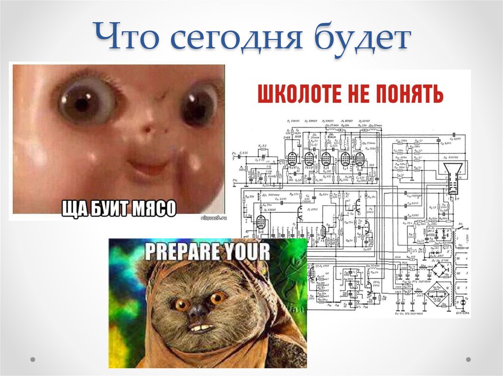 Что сегодня будет