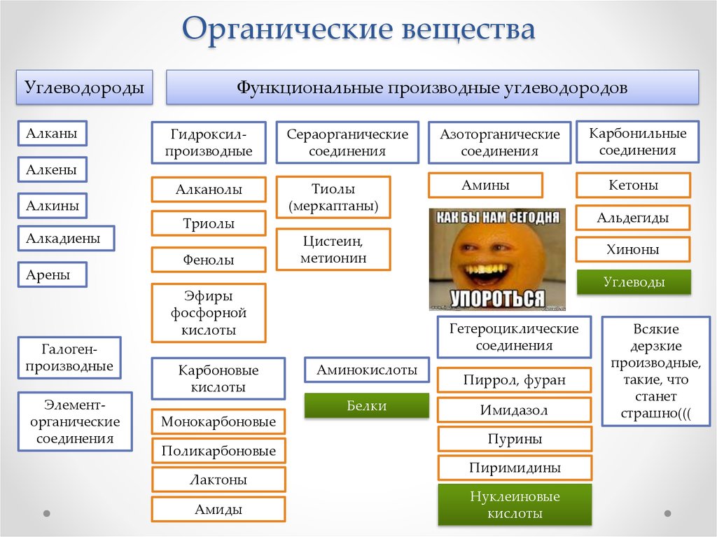 Образцы органических веществ