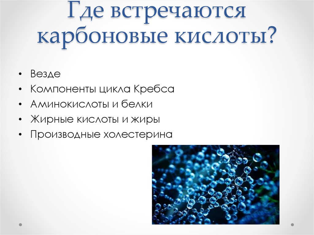Где встречаются карбоновые кислоты?
