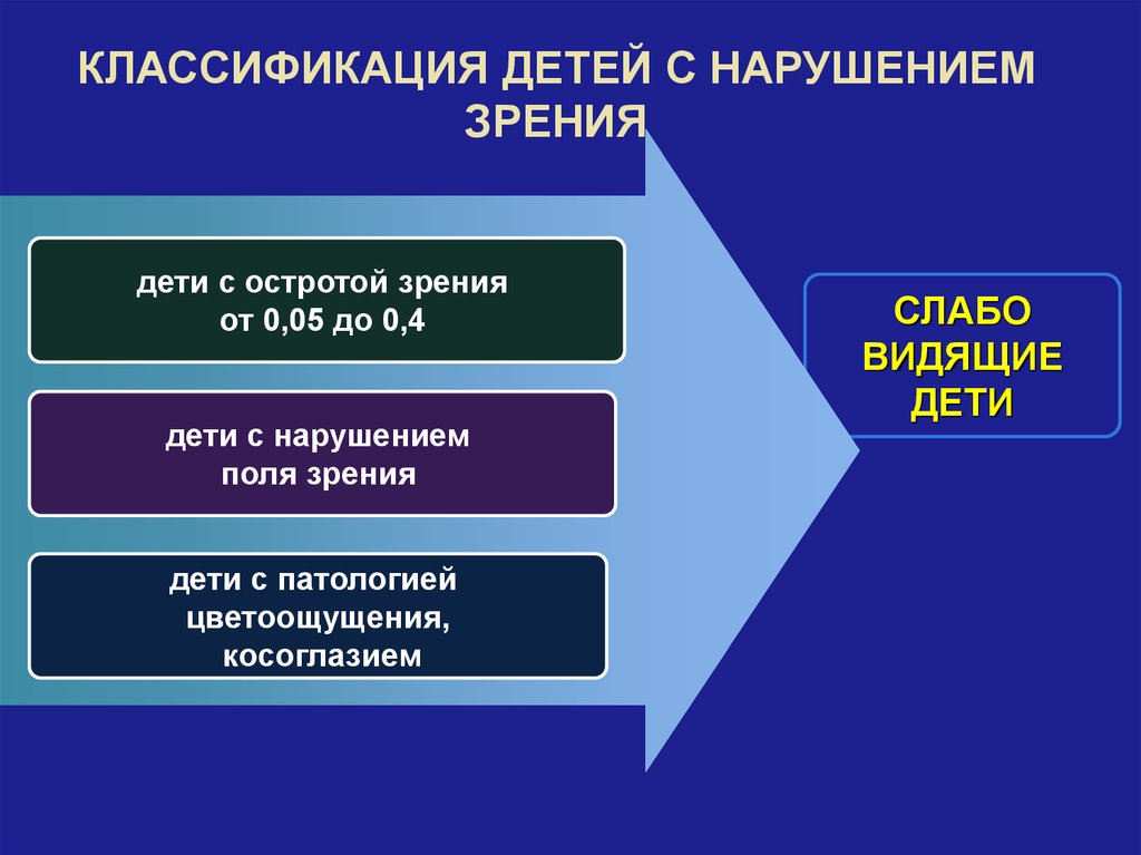 Специальное образование лиц с нарушением зрения презентация