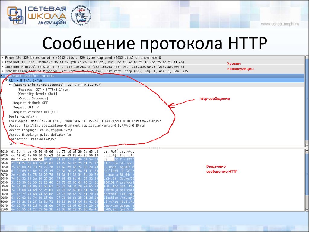 Сообщение протокола HTTP