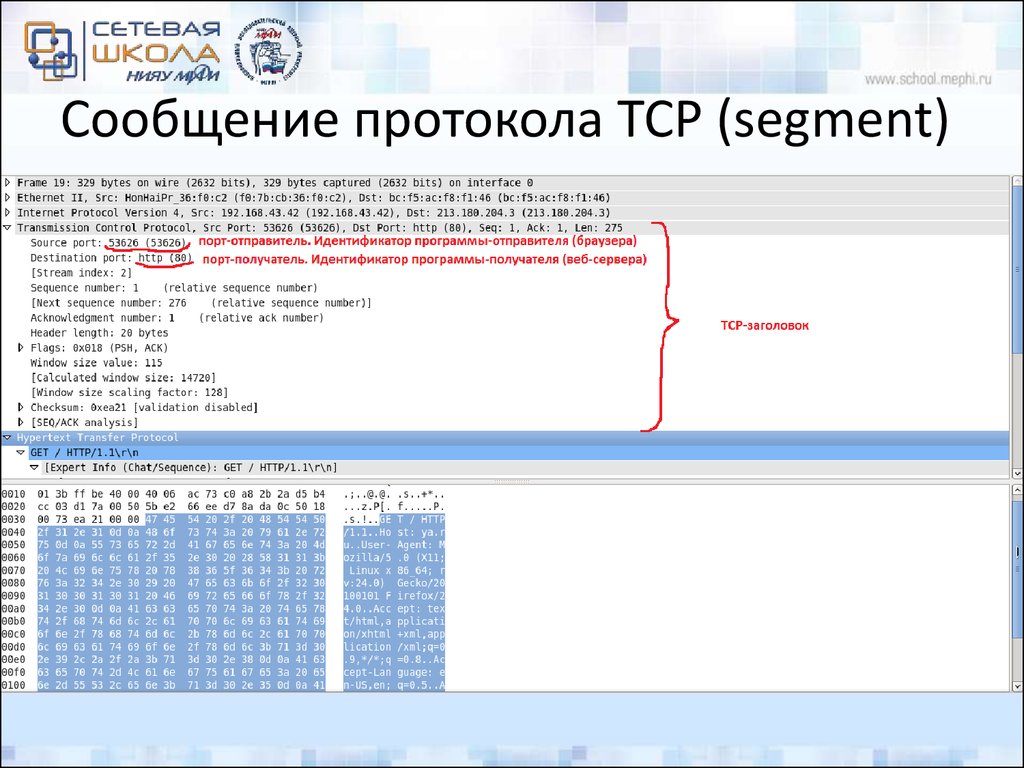 Сообщение протокола TCP (segment)