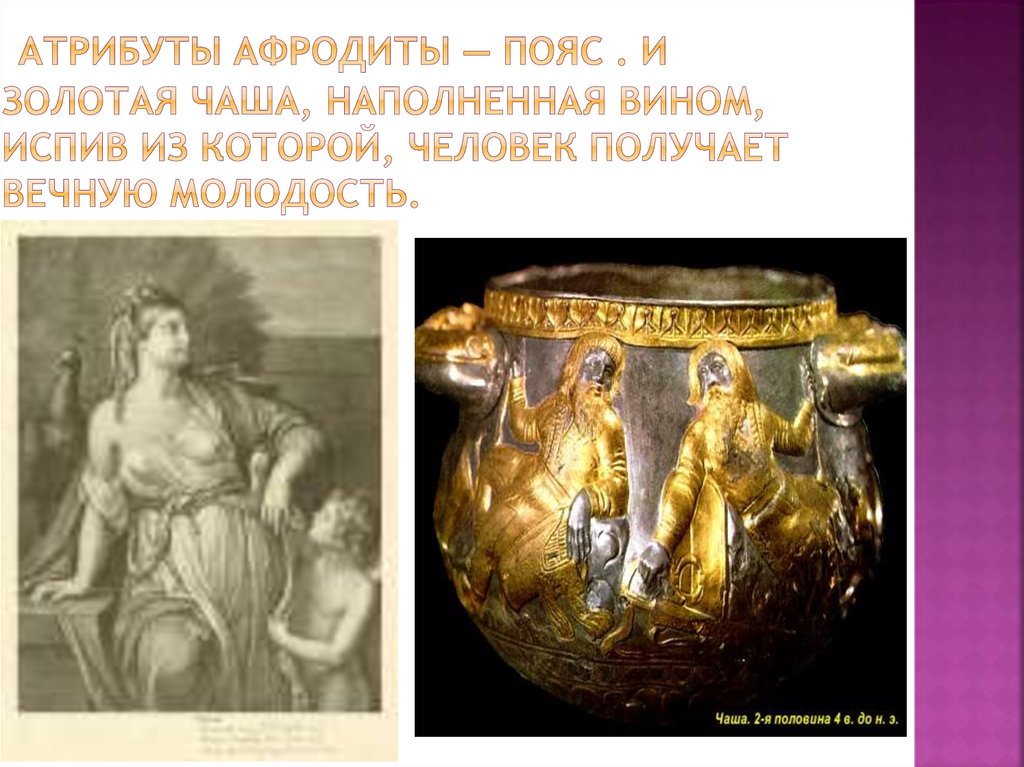 Атрибуты Афродиты — пояс . и золотая чаша, наполненная вином, испив из которой, человек получает вечную молодость.