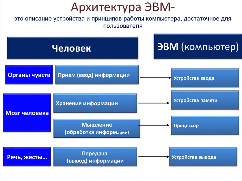 Описание устройства и принципов работы компьютера достаточное