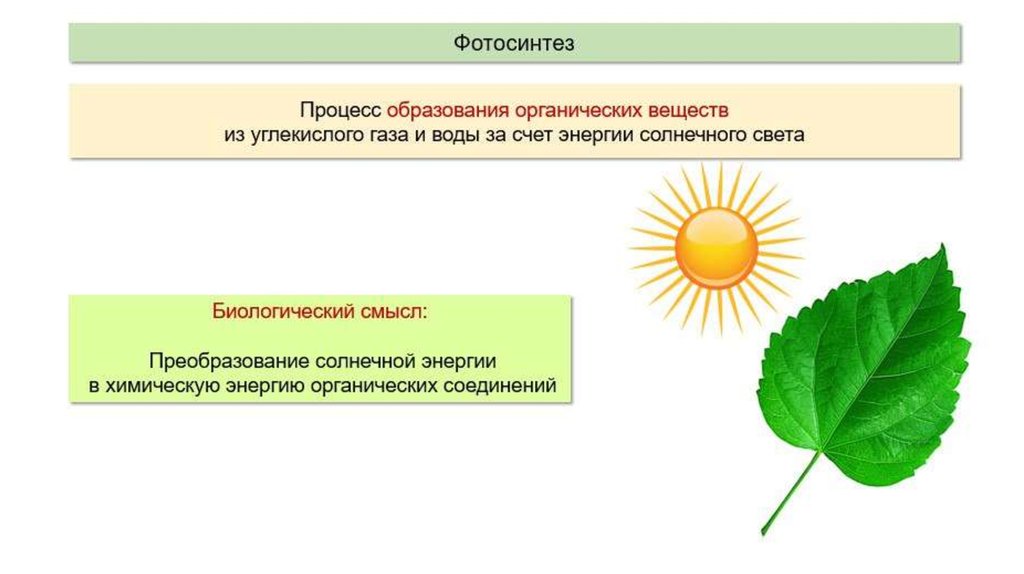 Значение фотосинтеза схема