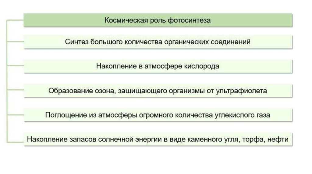 Значение фотосинтеза в природе биология 6 класс. Функции фотосинтеза. Значение фотосинтеза. Космическая роль фотосинтеза. Значение фотосинтеза в природе.